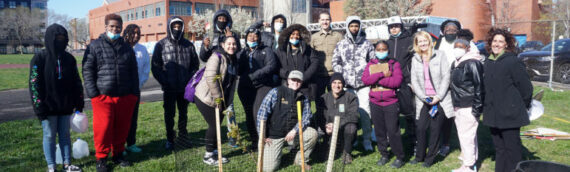 Arnold Arboretum Teams with EHS Juniors to Plant Future Shade at EHS