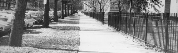 Remembering Avenue Louis Pasteur